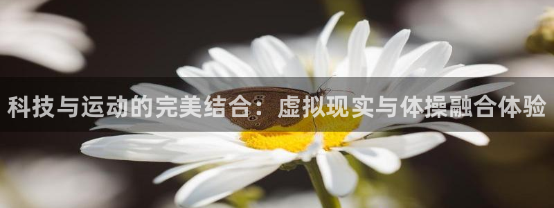 vsport体育官网下载注册：科技与运动的完美结合：