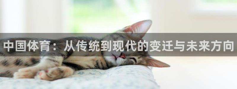 vsport体育官方平台体育：中国体育：从传统到现代