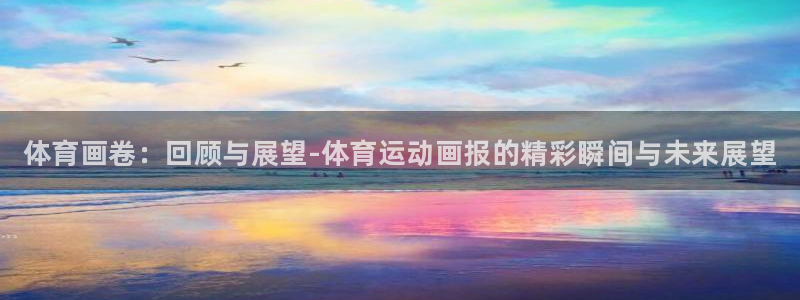 vsport体育官方正版app娱乐：体育画卷：回顾与