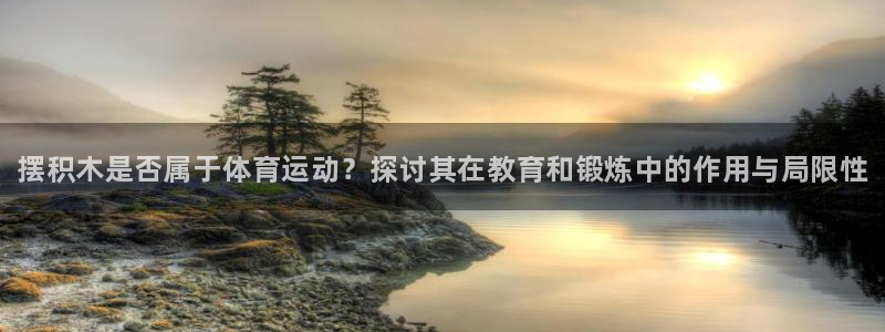 vsport体育官方正版app娱乐代理怎么样：摆积木