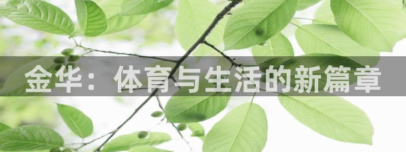 vsport体育官网下载联系电话：金华：体育与生活的新篇章