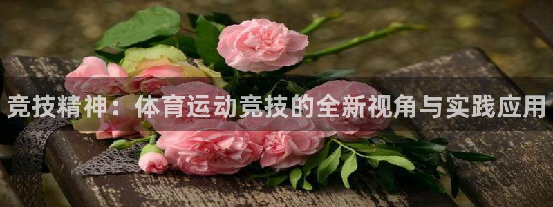 海南vsport体育官网下载发展怎么样：竞技精神：体育运动竞