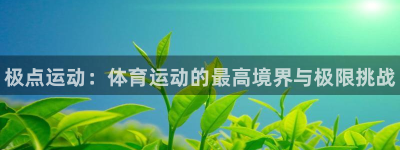 vsport体育官方正版app科技：极点运动：体育运动的最高