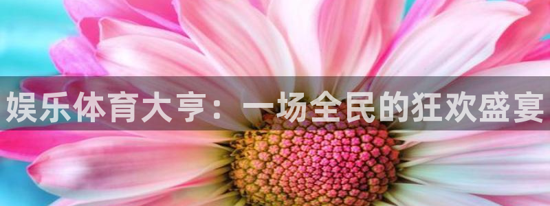 vsport体育官网下载平台注册流程图：娱乐体育大亨