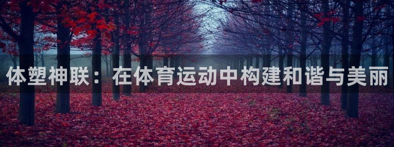 vsport体育官方正版app娱乐首页网站大全：体塑