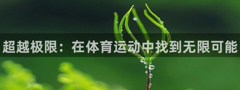 vsport体育官网下载平台注册流程图：超越极限：在