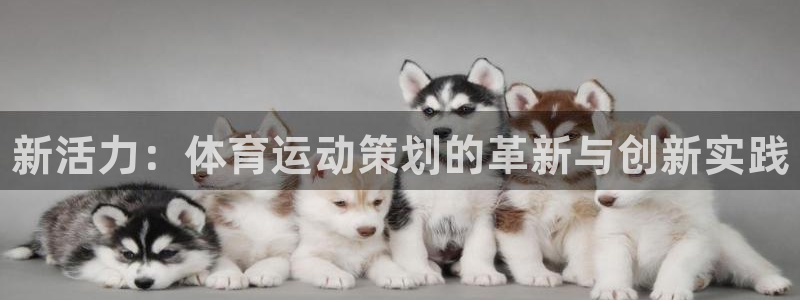 vsport体育官网下载招商电话号码查询是多少：新活力：体育