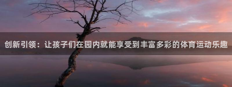 vsport体育官方正版app集团logo：创新引领