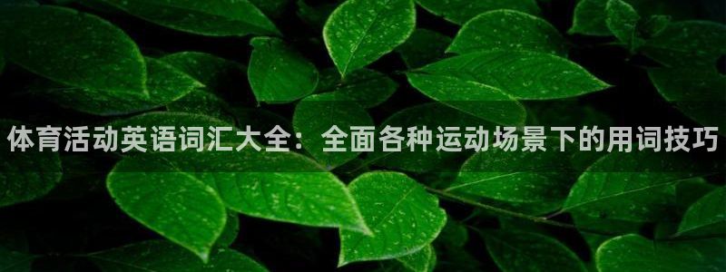 vsport体育官网下载平台注册流程视频：体育活动英语词汇大