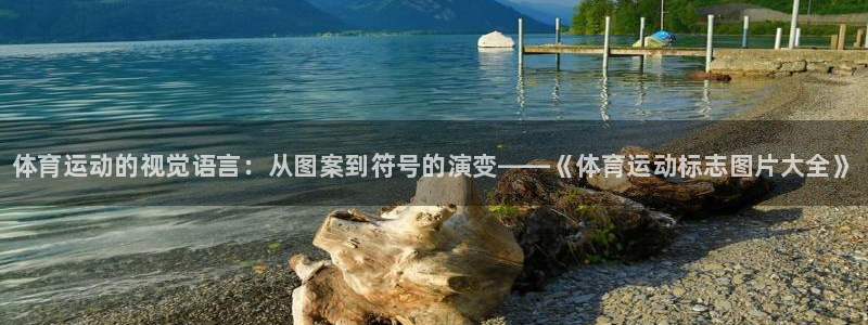 vsport体育官网下载招商电话号码是多少号：体育运