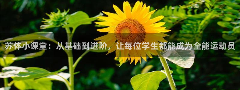 vsport体育官方正版app集团官网首页网址：苏体小课堂：
