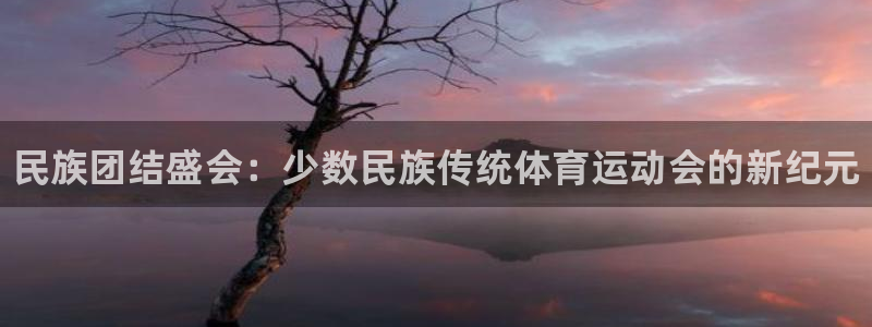 vsport体育官方正版app集团logo：民族团结盛会：少