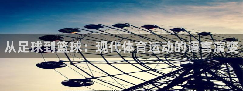 vsport体育官网下载平台注册要钱吗安全吗：从足球