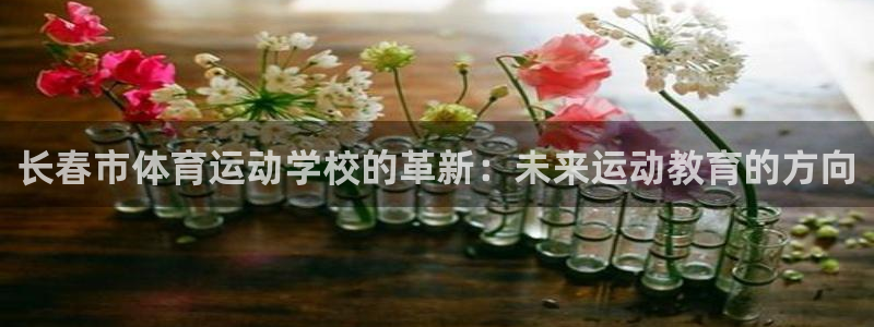 vsport体育官网下载：长春市体育运动学校的革新：未来运动