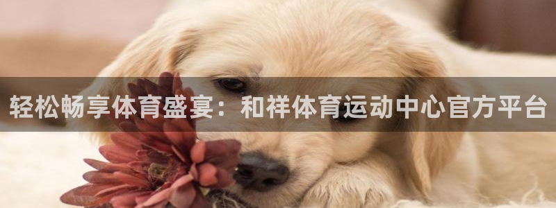 vsport体育官方正版app娱乐40996：轻松畅享体育盛