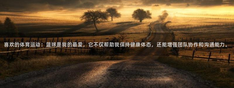 vsport体育官网下载娱乐