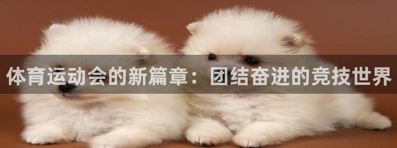vsport体育官网下载招商电话地址