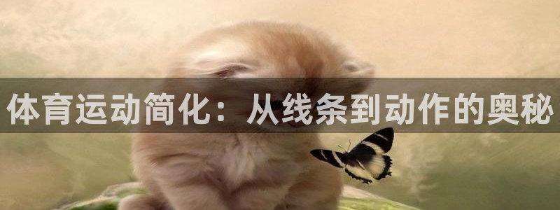 vsport体育官方正版app集团官网首页网址