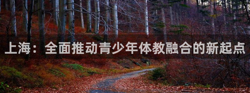 vsport体育官方正版app集团官网首页网址