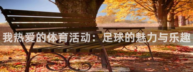 vsport体育官方正版app神州：我热爱的体育活动：足球的