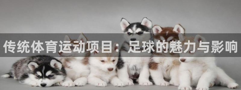 vsport体育官方正版app官方：传统体育运动项目：足球的