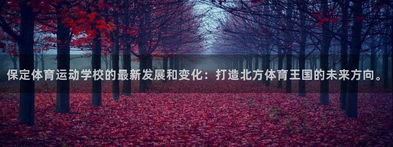 vsport体育官方正版app娱乐是那个系列的台子：