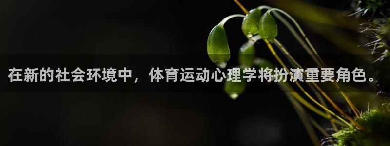 vsport体育官网下载平台是正规平台吗安全吗