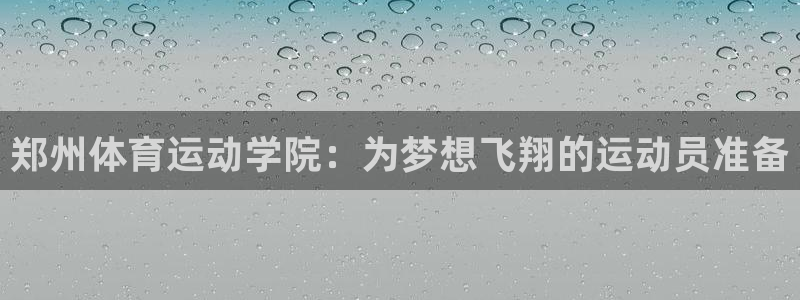 vsport体育官方正版app新能源：郑州体育运动学