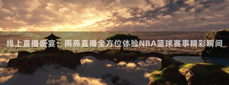919体育直播：线上直播盛宴：雨燕直播全方位体验NBA篮球赛事精彩瞬间